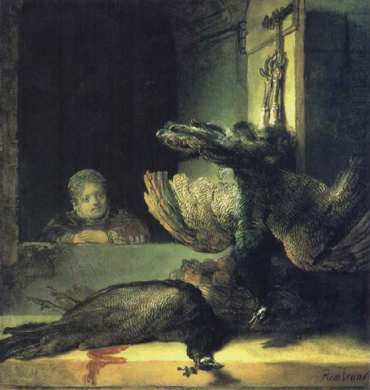 Girl with Dead Peacocks, REMBRANDT Harmenszoon van Rijn